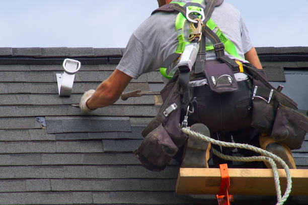 Best Roof Leak Repair  in Brownlee Park, MI