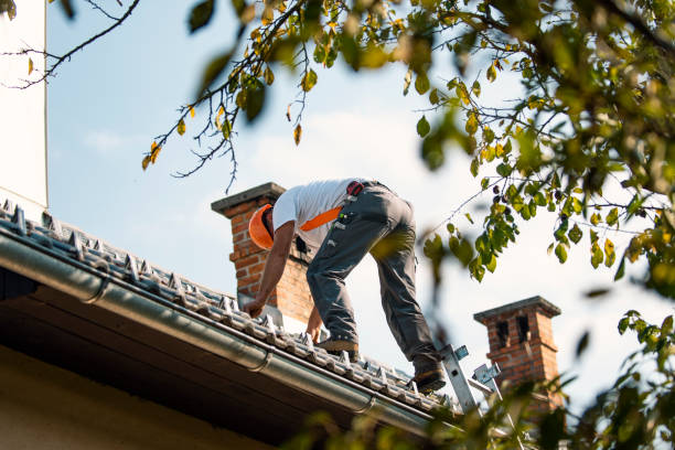 Best Affordable Roof Replacement  in Brownlee Park, MI