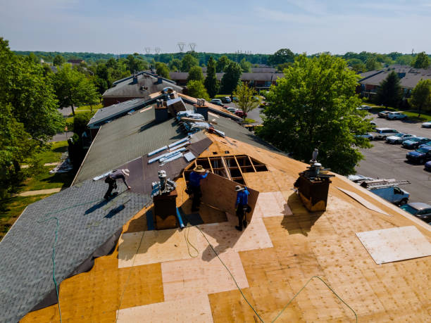 Best Storm Damage Roof Repair  in Brownlee Park, MI