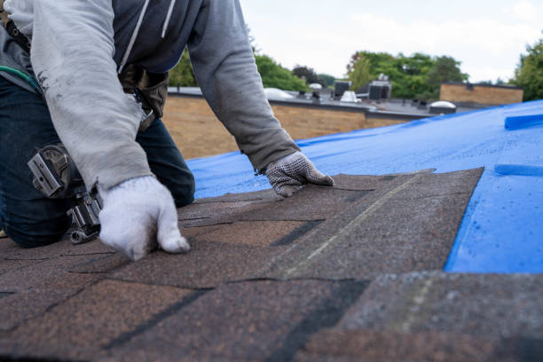Best Roof Maintenance Services  in Brownlee Park, MI