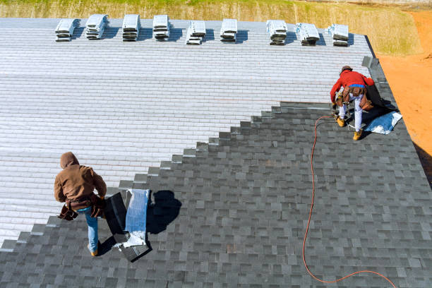 Best Roof Inspection Near Me  in Brownlee Park, MI