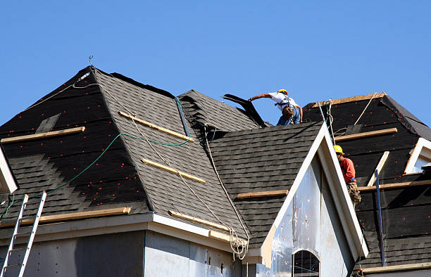Best Roof Waterproofing Services  in Brownlee Park, MI