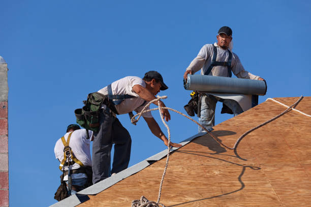 Best Roof Repair Services  in Brownlee Park, MI