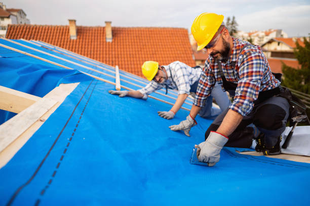 Best Roof Gutter Cleaning  in Brownlee Park, MI