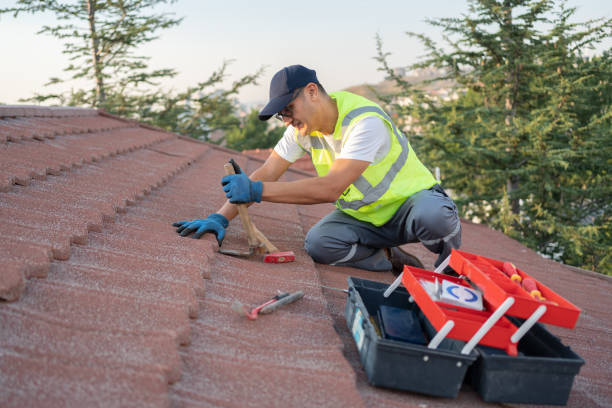 Best Gutter Installation and Roofing  in Brownlee Park, MI