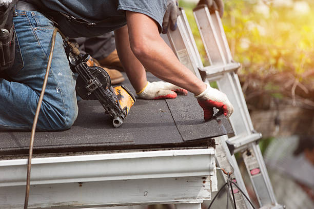 Best Roof Gutter Cleaning  in Brownlee Park, MI
