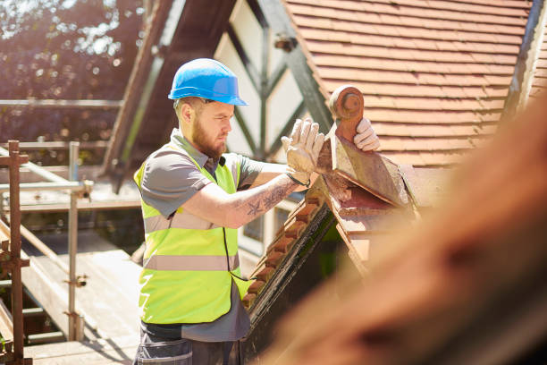 Best Roof Repair Specialists  in Brownlee Park, MI