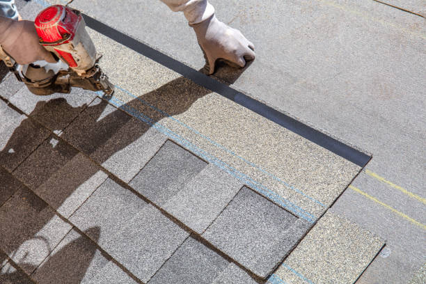 Best Best Roofing Contractors  in Brownlee Park, MI