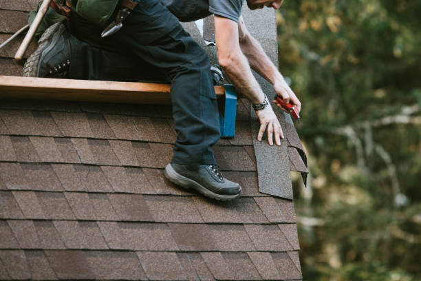Best Residential Roofing Contractor  in Brownlee Park, MI